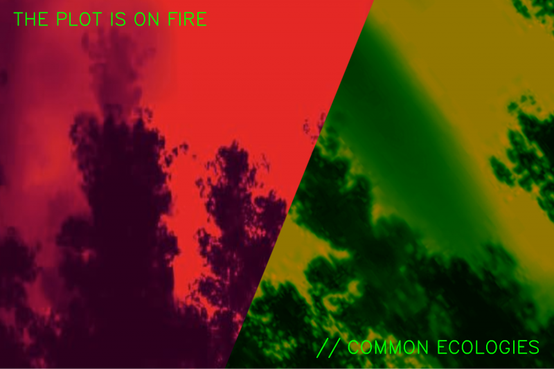 The Plot is on Fire with MayDay Rooms and Manuela Zechner